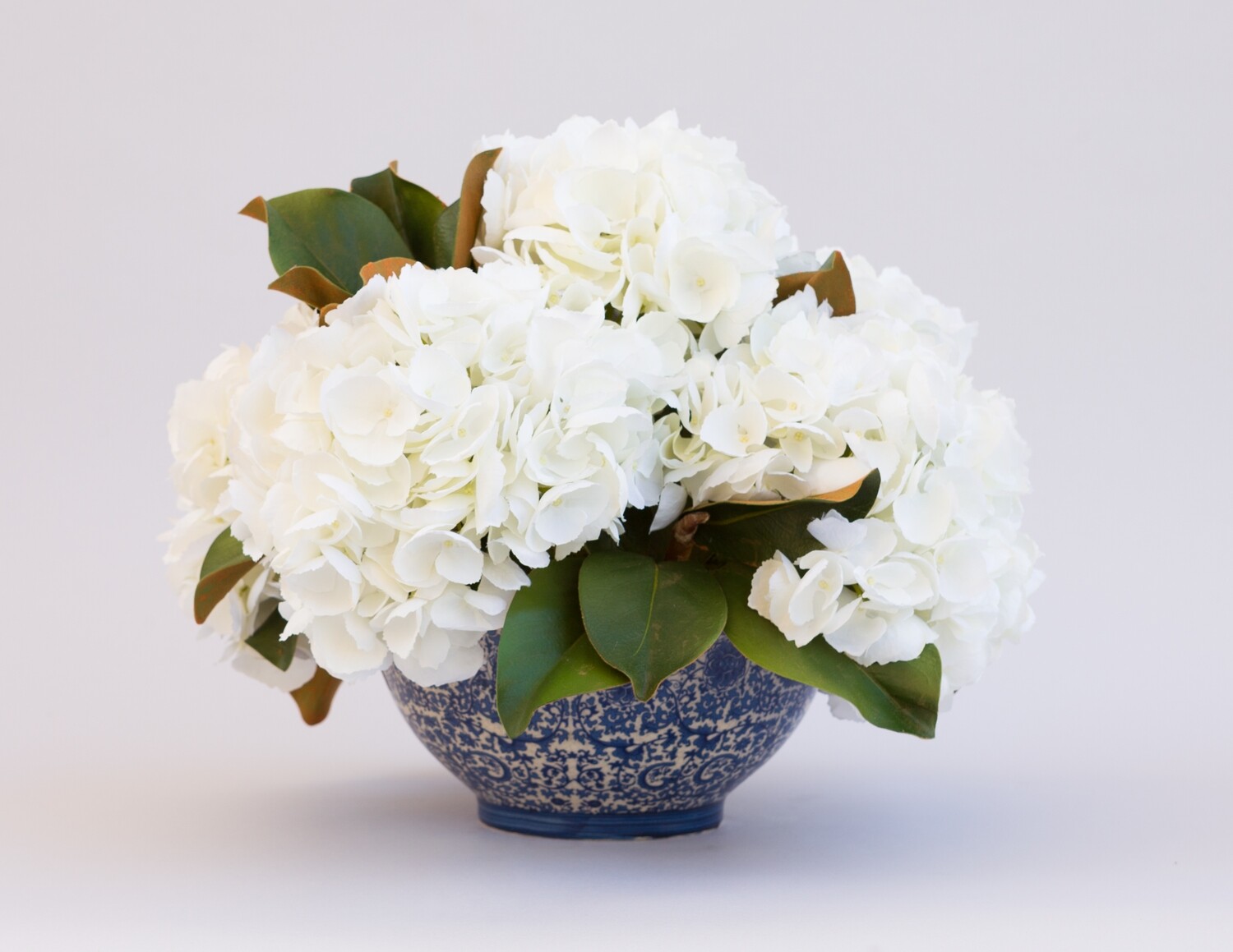 White hydrangeas in a blue and white vase.