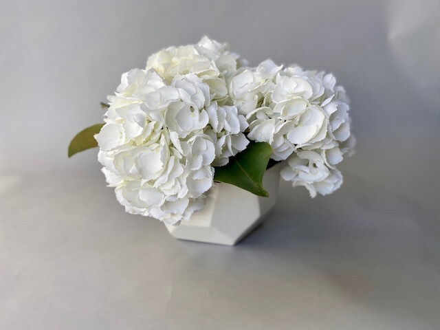 White hydrangea in a white dimensional ceramic