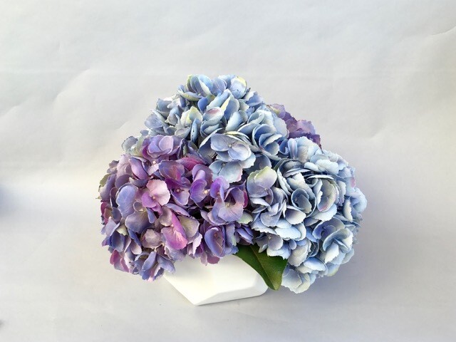 Blue and Lavender Hydrangeas in a White Dimensional Ceramic Vase
