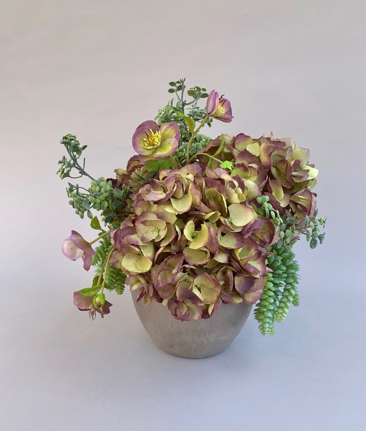 Eggplant Hydrangeas and Helleebores with Succulents in a Concrete Pot