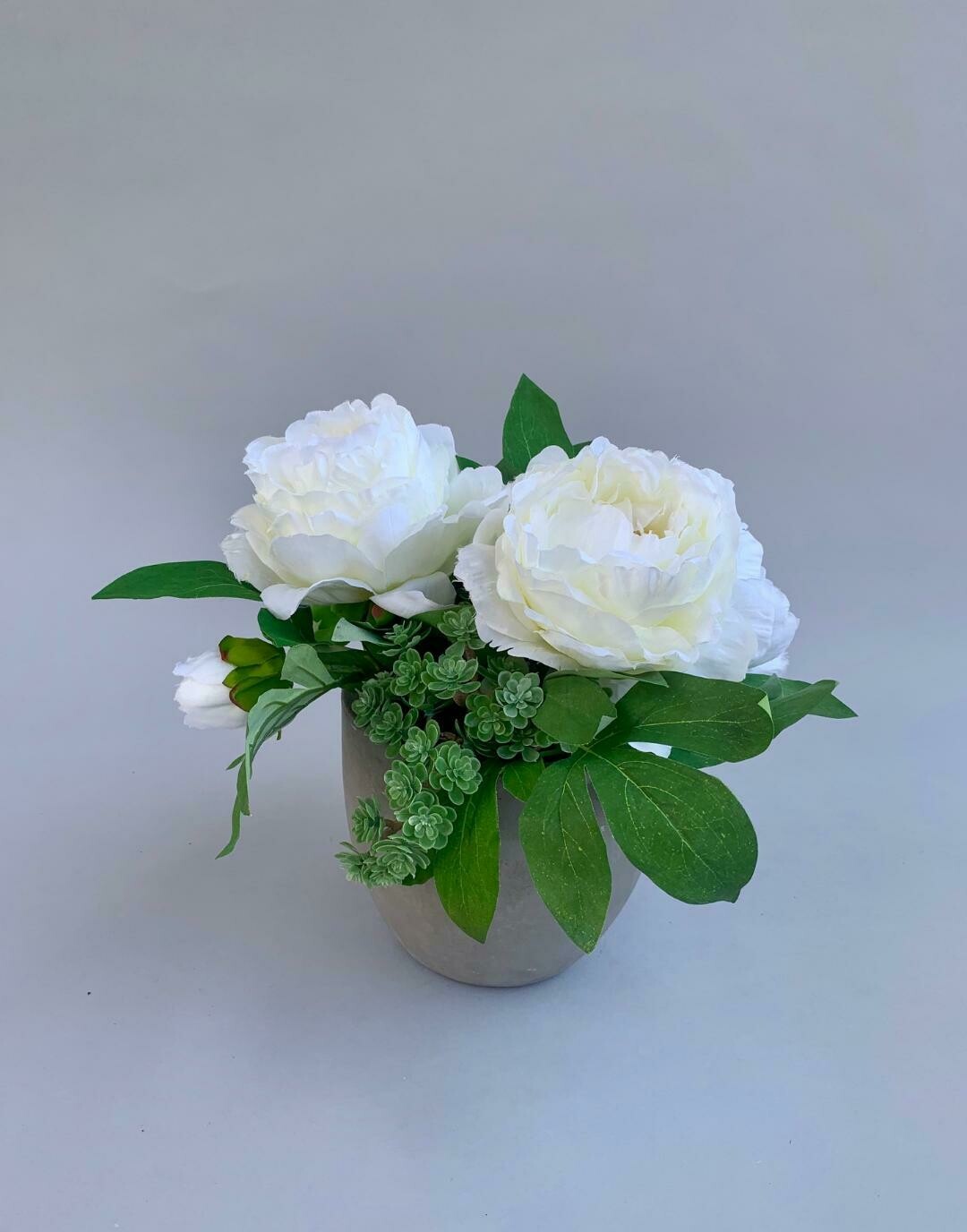 White peonies with succulents in a concrete pot