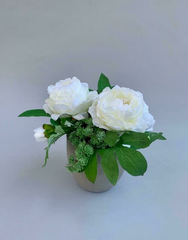 White peonies with succulents in a concrete pot