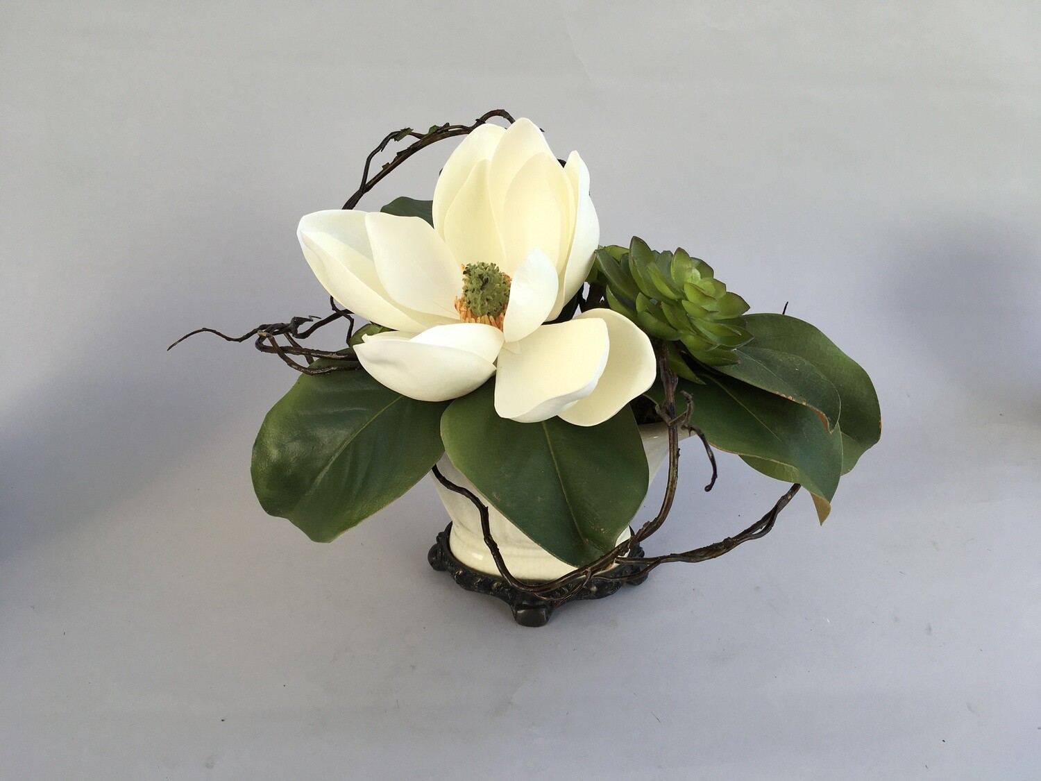 Magnolia with Succulents in a Cream Porcelain Vase