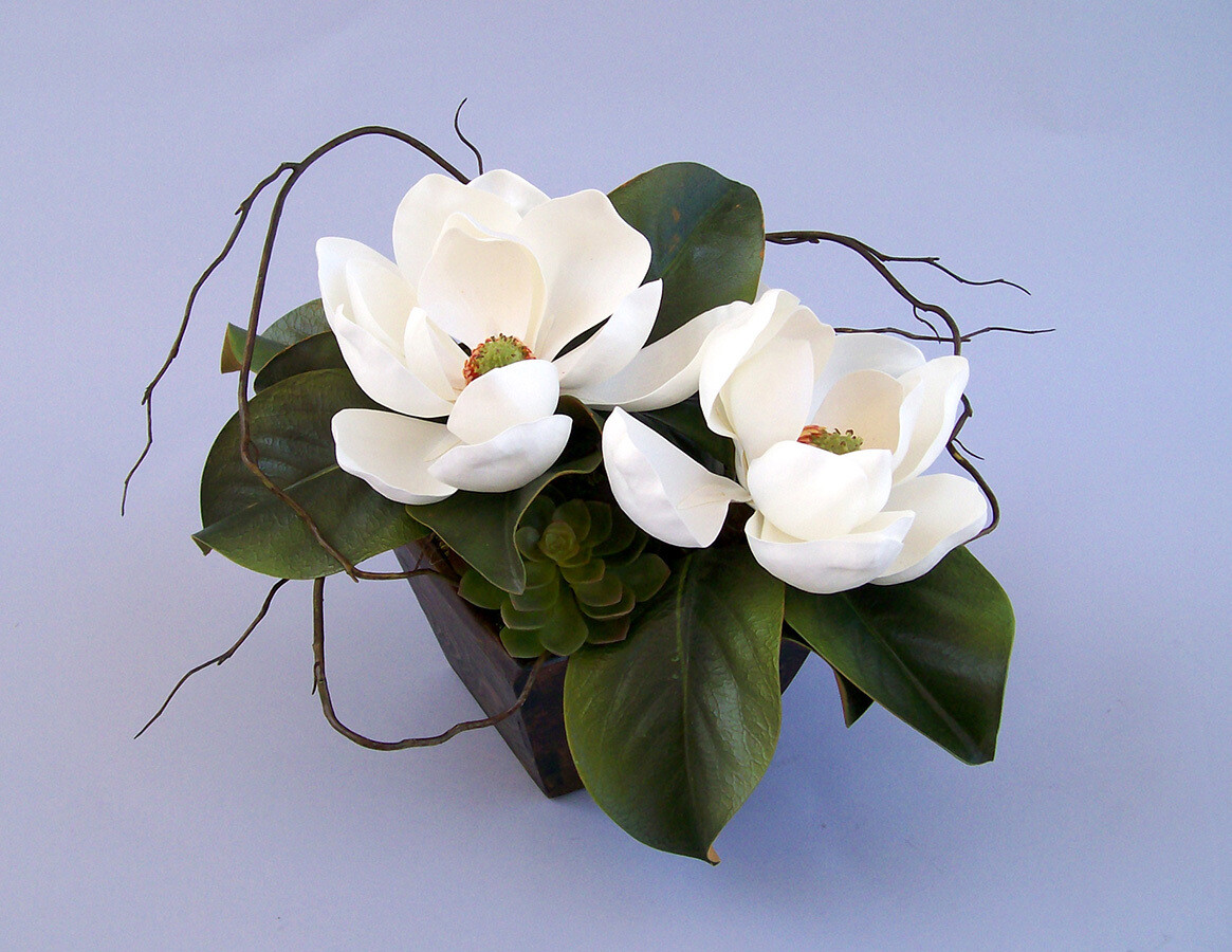Magnolias with Succulents in a Wood Box