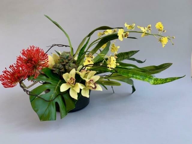 Pincushion Protea,  Orchids, and  Succulents in a Aged Black ceramic