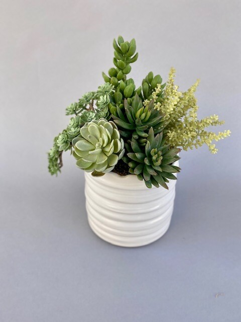 Ice plant, agaves and mixed sedum succulents in a scalloped pot