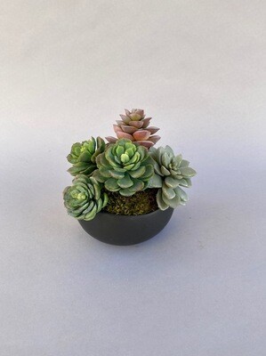 Triangle agave and pointed agave in a small black matt ceramic