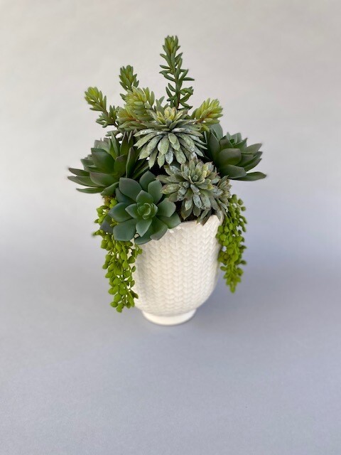Mixed dusty echeverias, sedum and string of pearls in a white detailed ceramic.