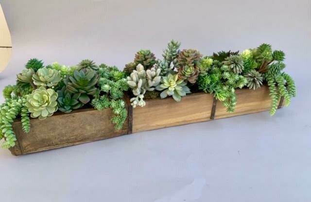 Wood brick mold with mixed sedum, echeverias and agaves