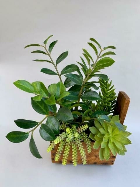Vintage water wheel bucket with ZZ plant and mixed succulents