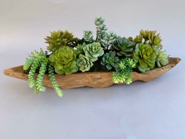 Long teak wood bowl with mixed sedum, echeverias and agave succulents