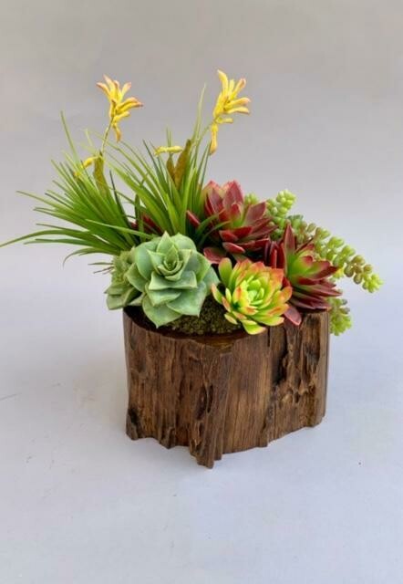 Wood stump container with tillandsia, agave and sedum