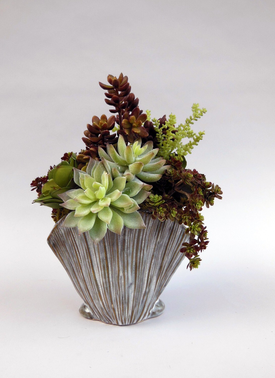 Mixed sedum, agave and echeveria in a shell vase