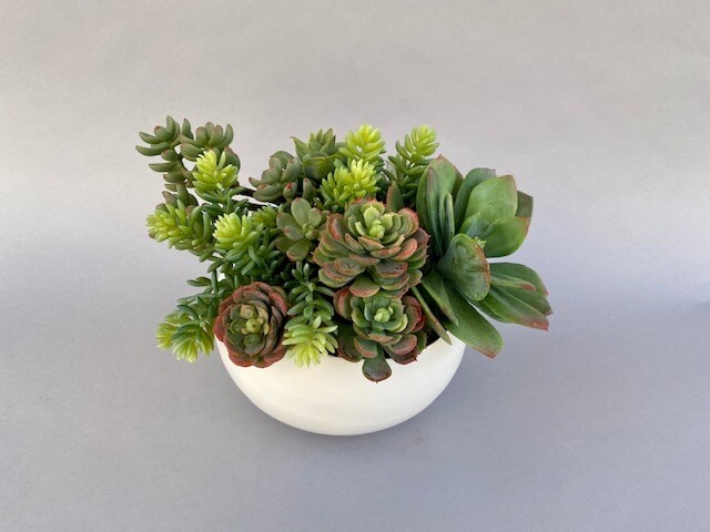 Ice plant, cabbage echeveria and sedum in a large graduated white pot