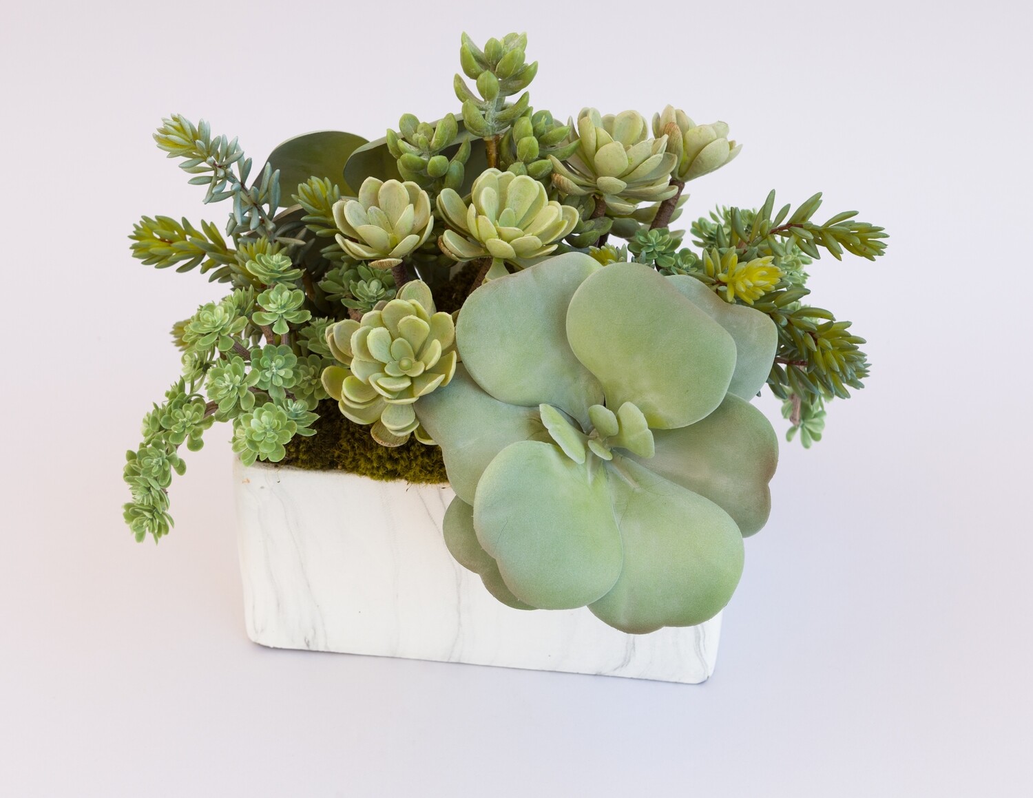 Ice plant, kalanchoe and mixed sedum in a faux rectangle marble vase