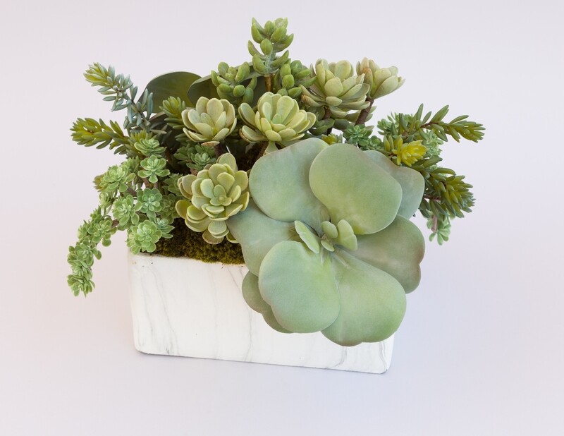 Ice plant, kalanchoe and mixed sedum in a faux rectangle marble vase