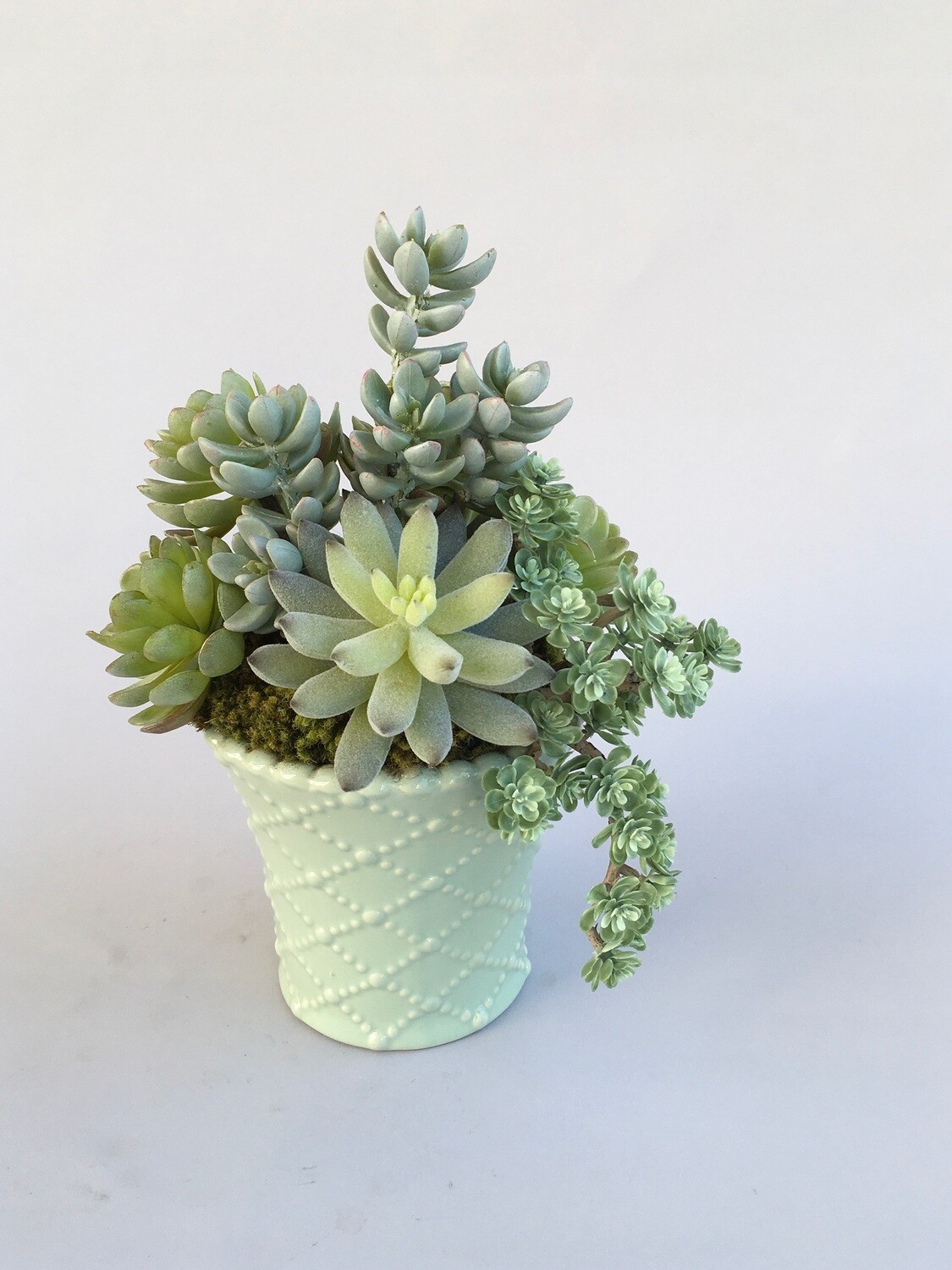 Ice plant, agave and sedum succulents in a mint green crisscross ceramic