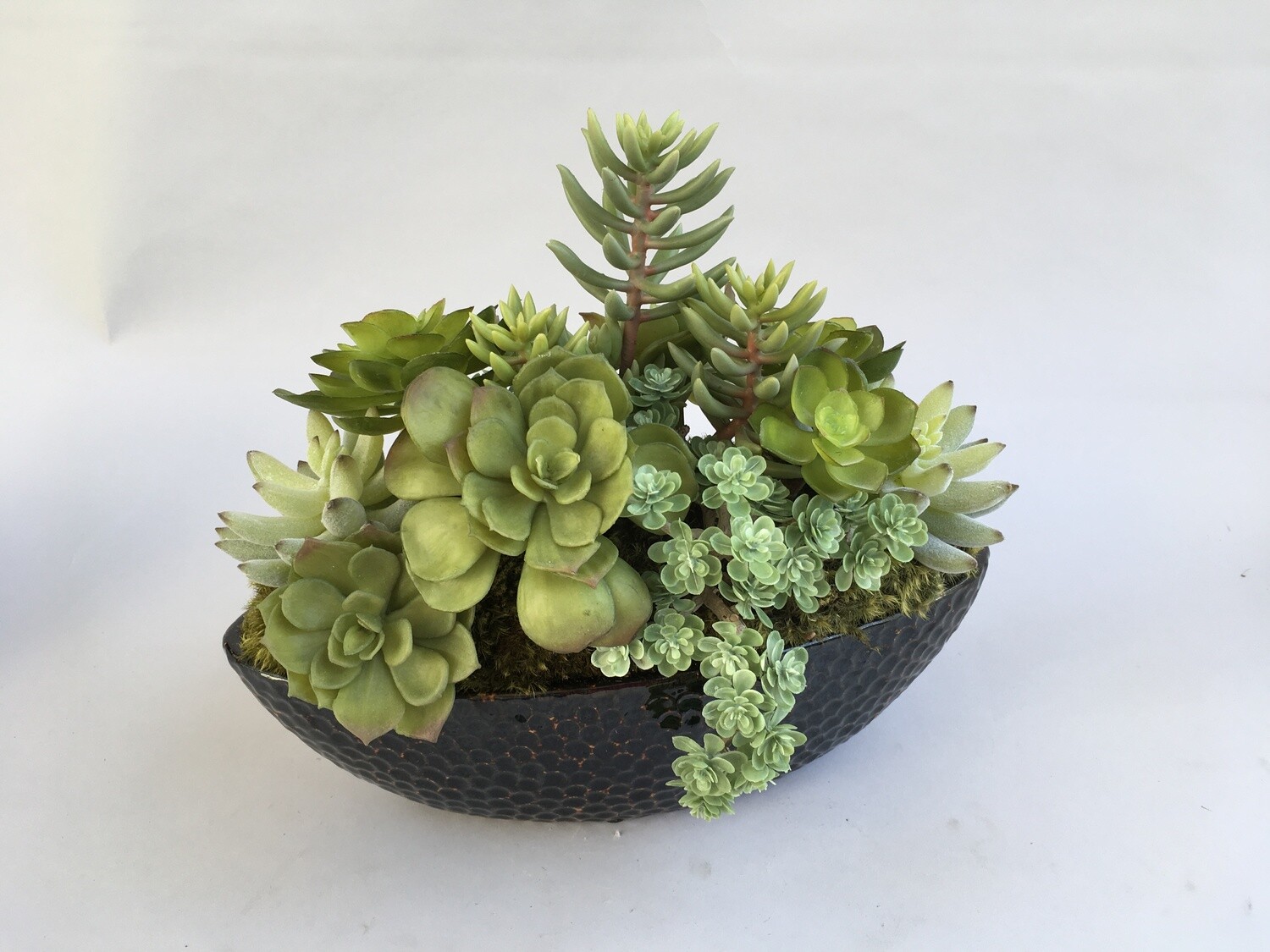 Dusty ice plant, echeverias, agaves with sedum succulent in a oval brown ceramic