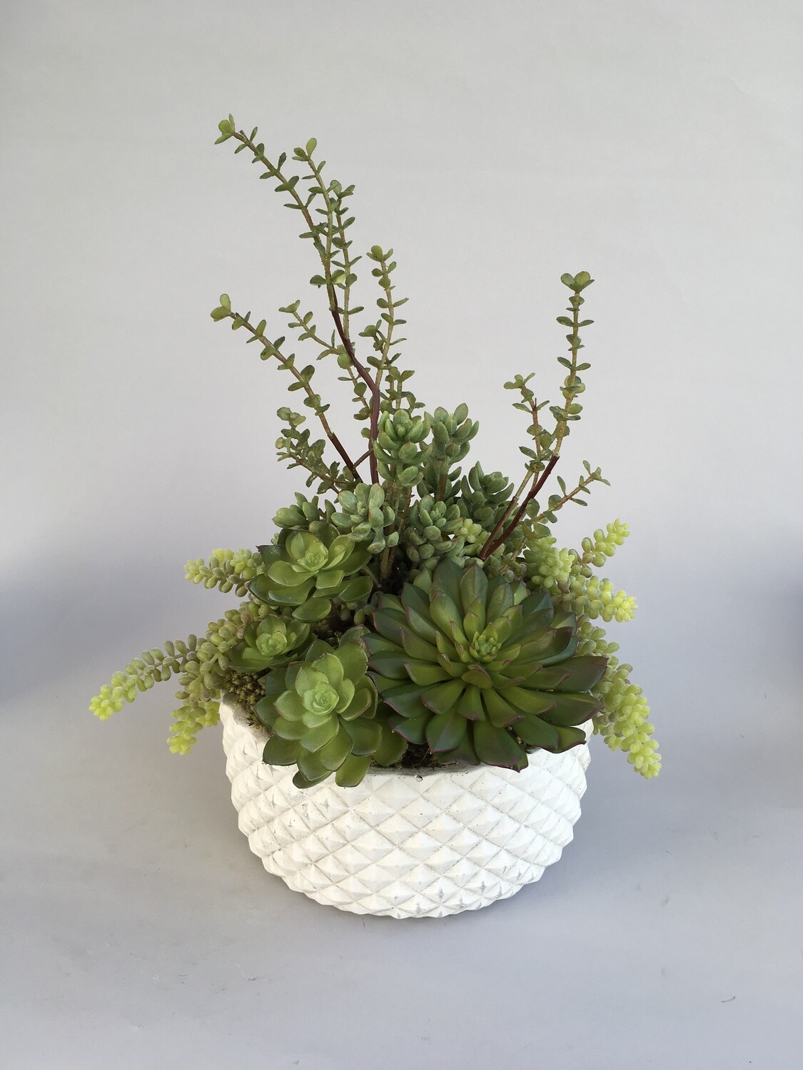 Tall Jade, Ice plant and mixed sedum in a white diamond concrete bowl