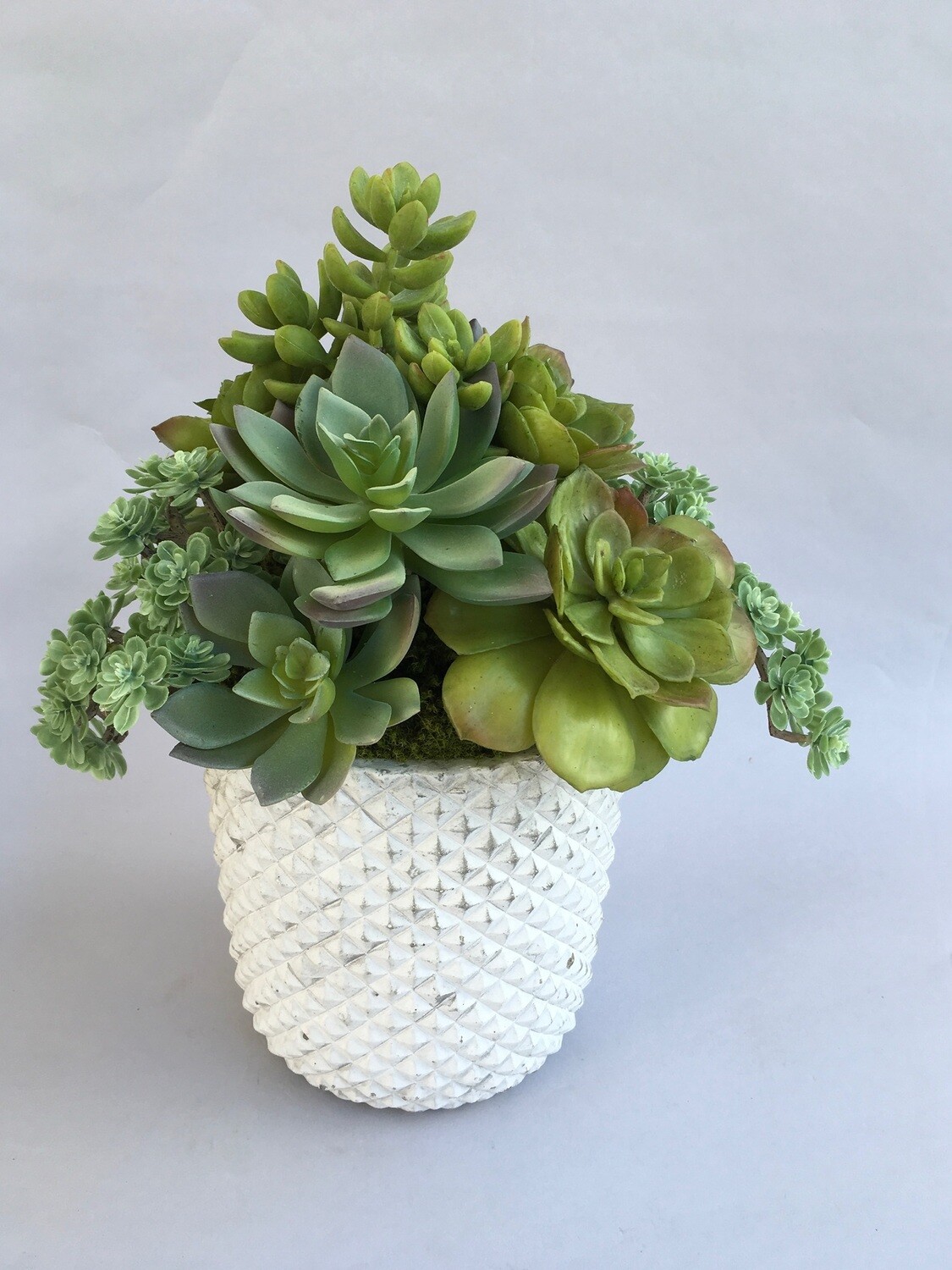 Ice plant, sedum, echeverias agave succulents in a white diamond concrete