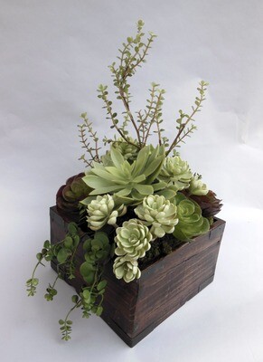 Mixed agave,  echeverias and jade succulents in a vintage wood bucket