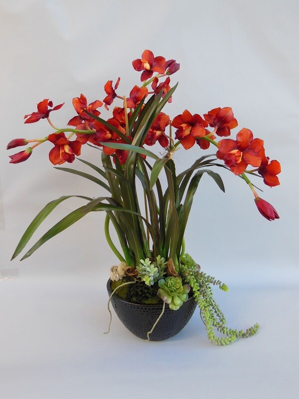 Rust cymbidium orchids with succulents in a large brown dot ceramic