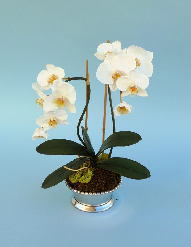 Double mini phalaenopsis orchid in a silver beaded silver vase