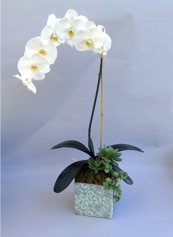 Elegant phalaenopsis orchid  by 12 blooms in a square aqua and silver ceramic