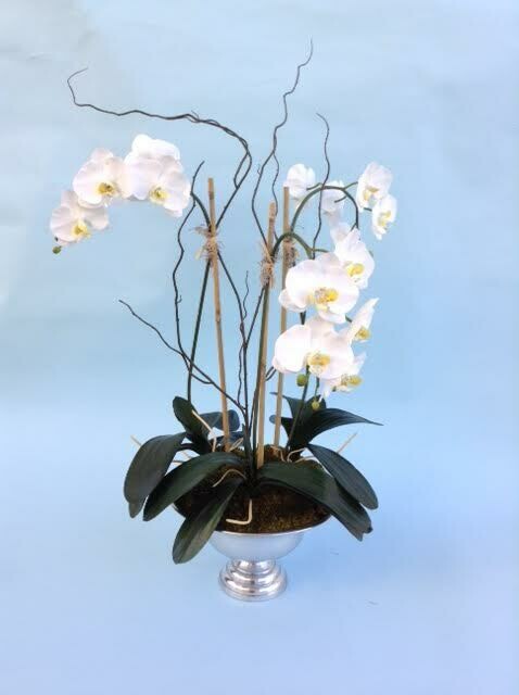 Three phalaenopsis orchids in a silver tone pedestal vase