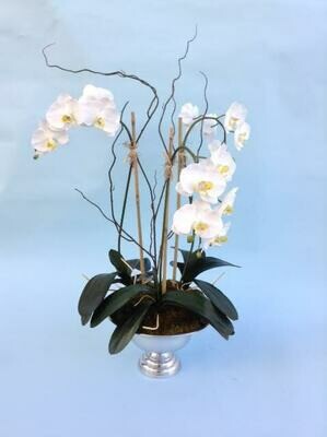 Three phalaenopsis orchids in a silver tone pedestal vase Three phalaenopsis orchids in a silver tone pedestal vase