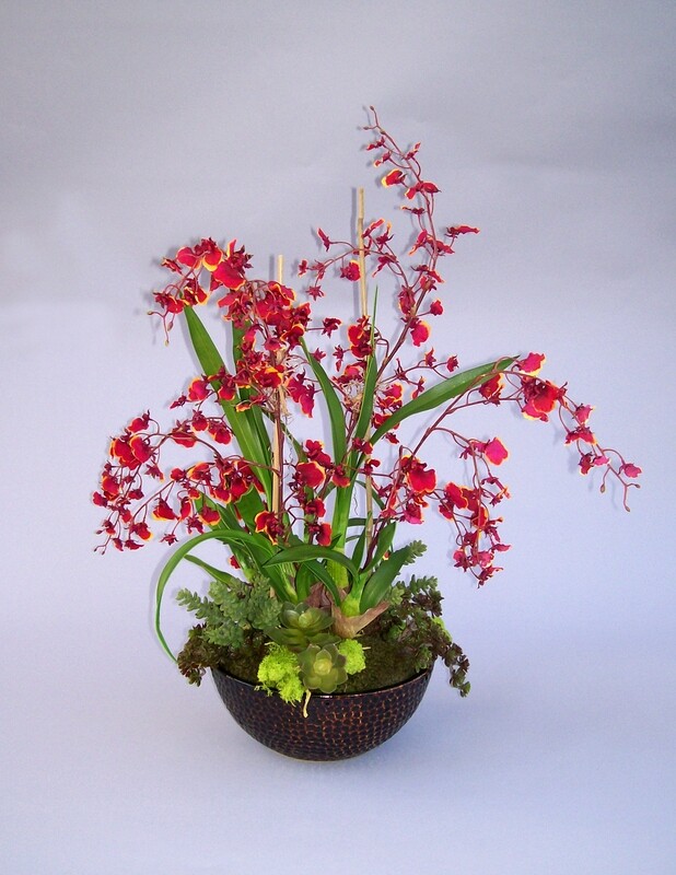 Red dancing oncidiums with succulents  in a brown dot ceramic bowl