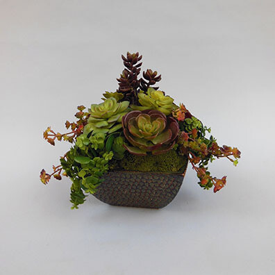 Hanging jade, echeverias and sedum in a square brown ceramic