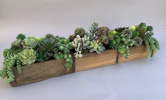 Wood brick mold with mixed sedum, echeverias and agaves