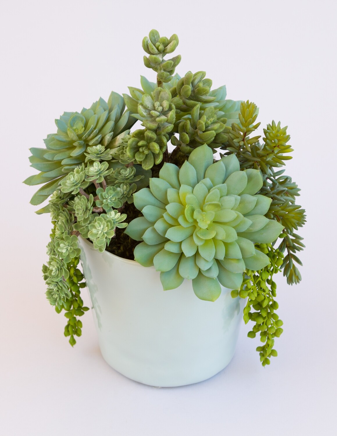 Echeverias, sedum and ice plant succulents in a blue rippled edge ceramic