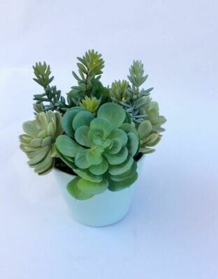 Spiky sedum, paddle and agave succulents in a blue rippled edged pot