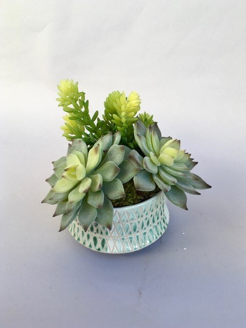 Flocked agaves and sedum succulents in a green mosaic ceramic vase