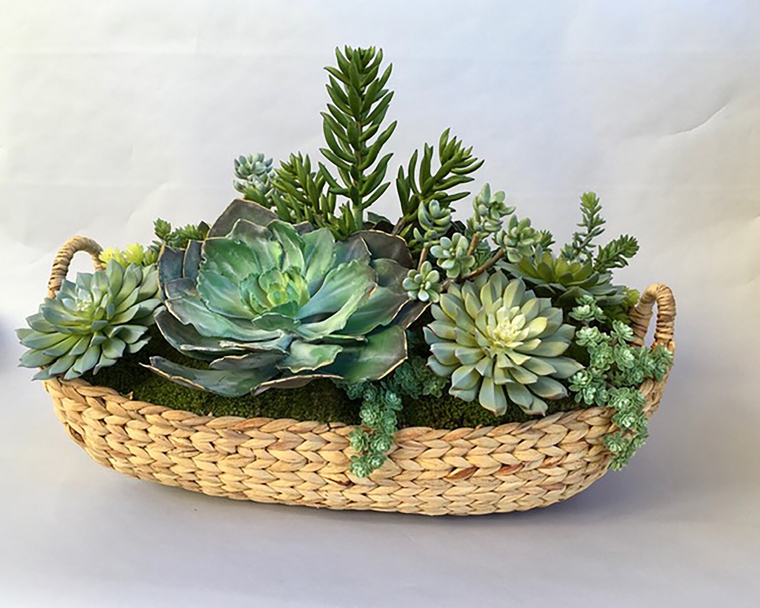 Large echeverias, spiky jade and sedum in a large oval sea grass basket