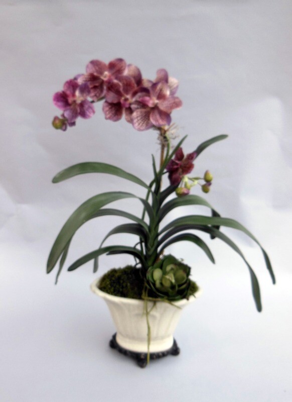 Hawaiian vanda orchid in an oval porcelain vase