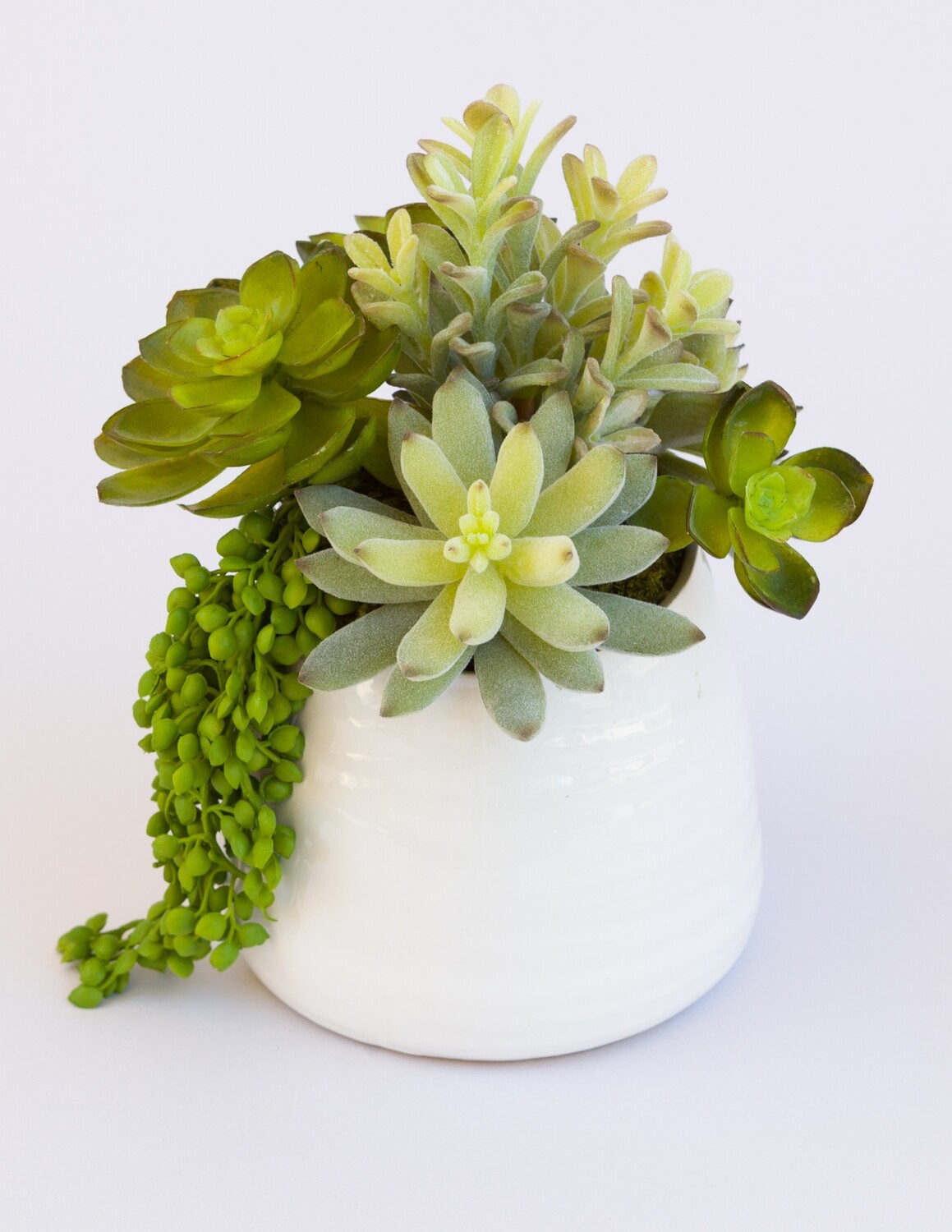 Short donkey tail, agave, echeveria and sting of pearls succulents in a white artist ceramic pot