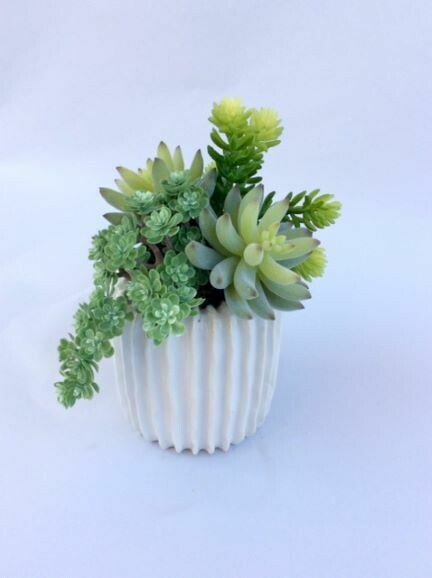 Agave and mixed sedum succulents in a small white ribbed ceramic pot