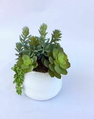 Sedum, echeveria and string of pearl succulents in a small artist ceramic