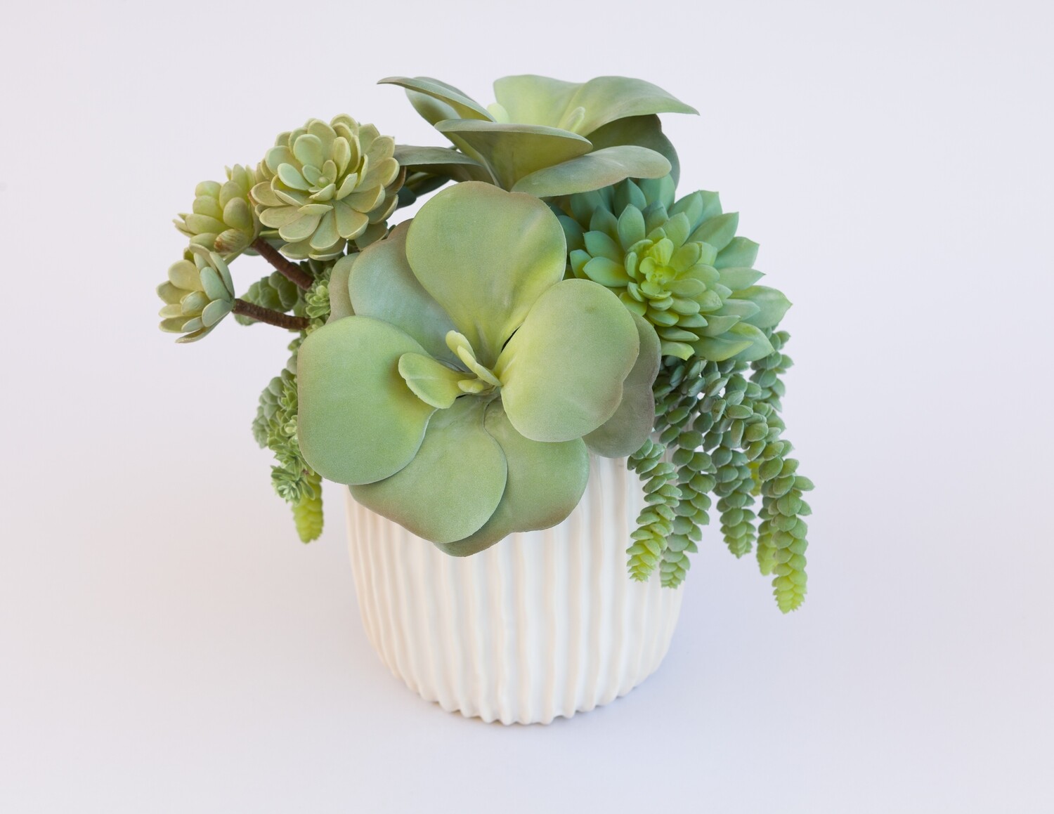 Kalanchoe, agave, burro's tail and sedum succulents in a white ribbed container