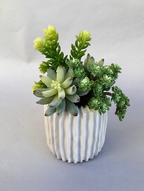 Mixed sedum and flocked agave in a white ribbed ceramic vase
