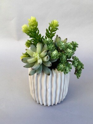 Mixed sedum and flocked agave in a white ribbed ceramic vase