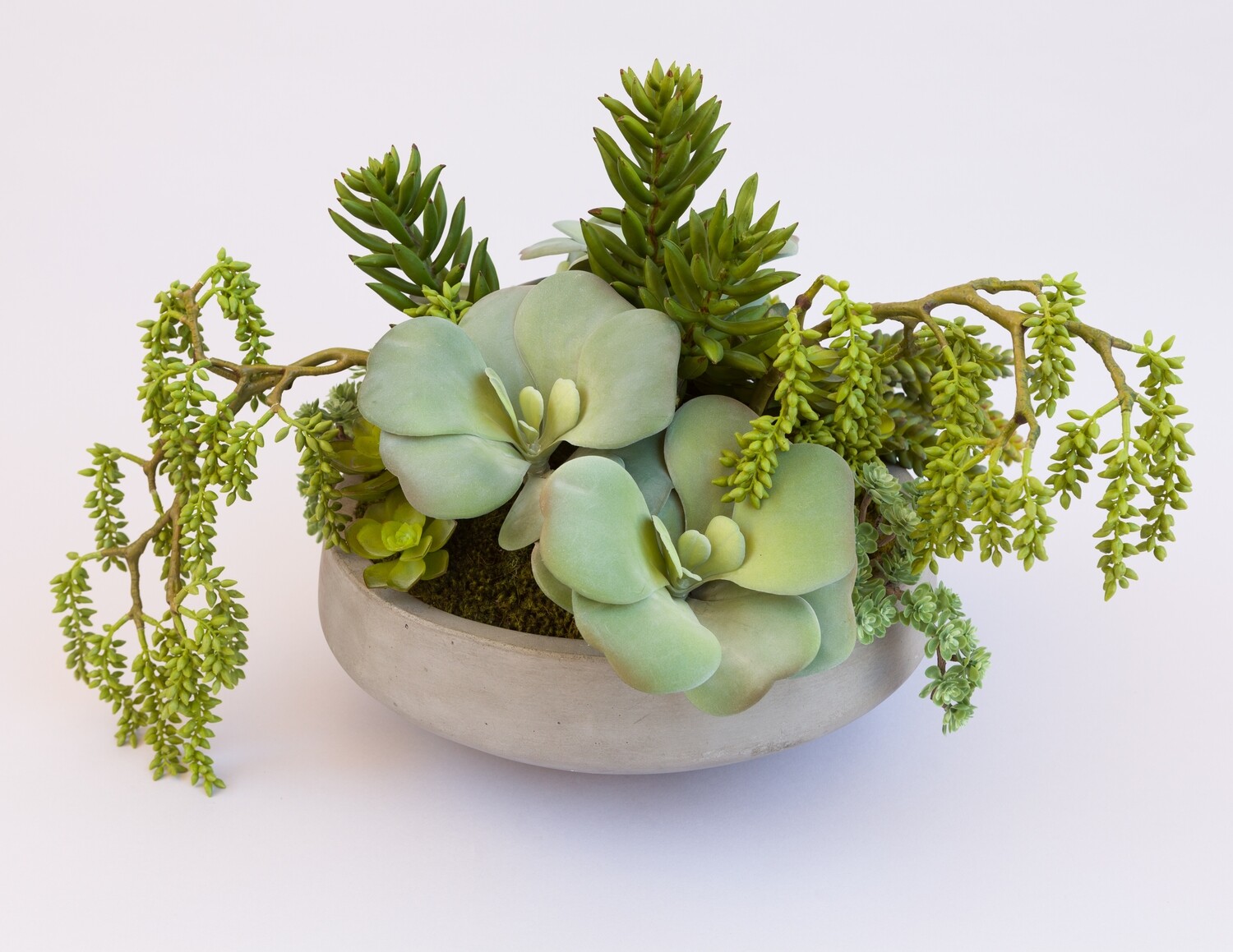 Dusty kalanchoe, spiky jade, sedum and weeping berry sedum in a concrete bowl