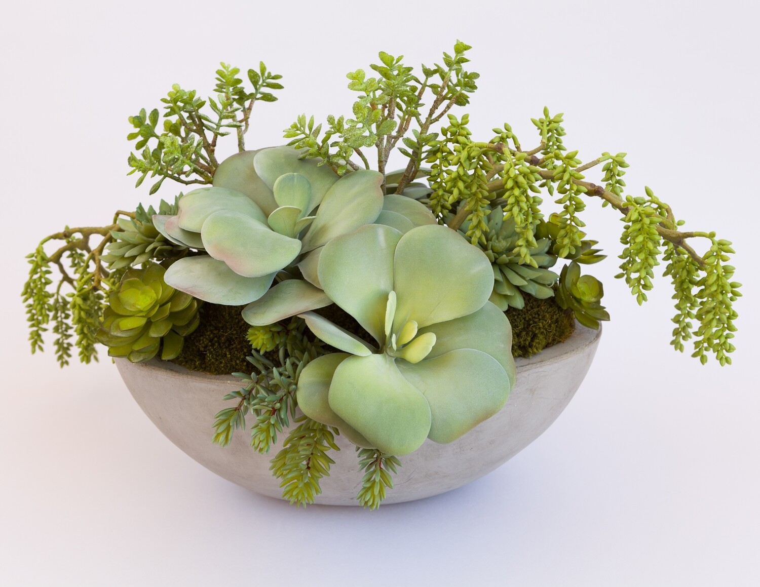 Weeping berries, kalanchoe, jade and echeveria succulents in an oval concrete bowl