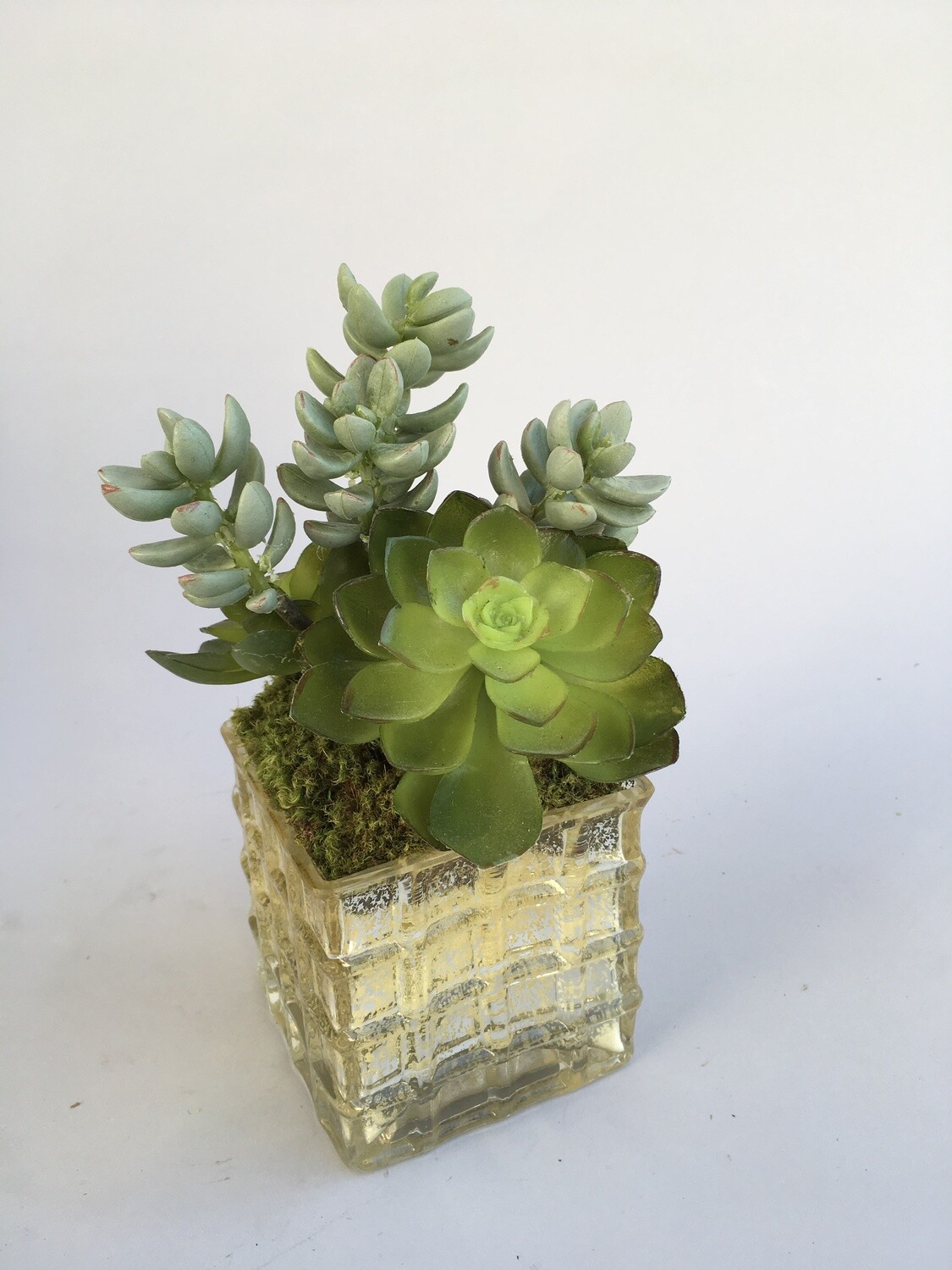 Ice plant and echeveria succulents in a small waffled mercury vase