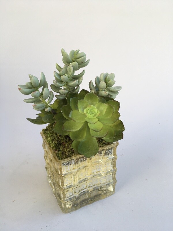 Ice plant and echeveria succulents in a small waffled mercury vase