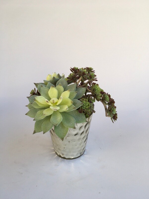 Dusty flat agave and mini sedum succulents in a silver mercury vase