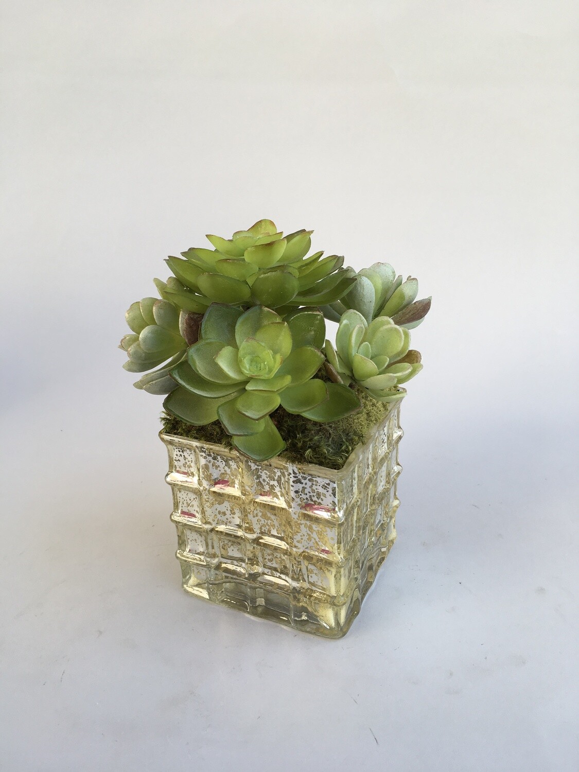 Dusty agave and echeveria succulents in a small waffled mercury vase